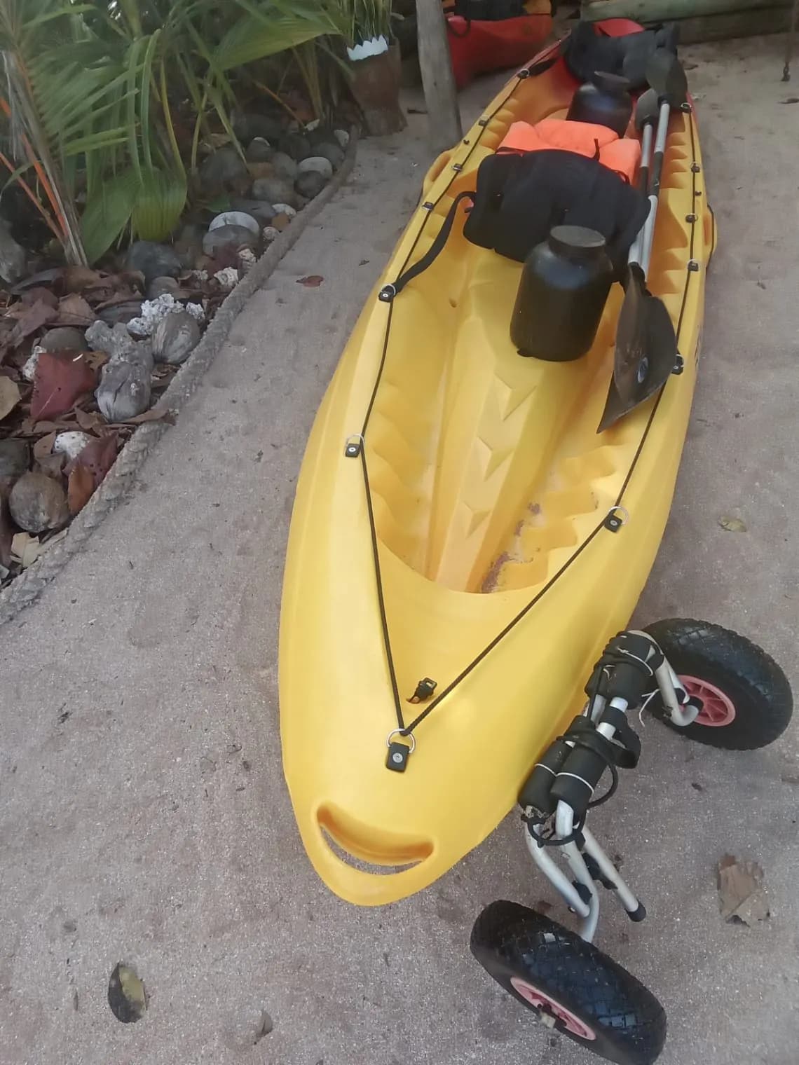 Photo de l'annonce : Kayak rtm 2pl a 4pl — Chiconi (Loisirs)